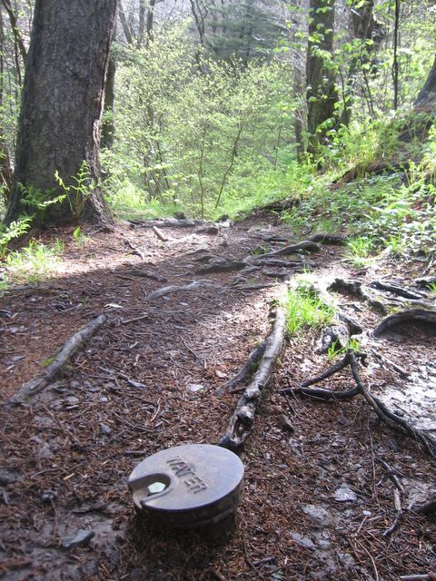 img_0657.jpg (large)